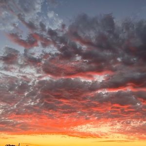 Meet your Posher, Monique